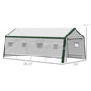 20' x 10' x 8' Heavy-duty Greenhouse, Walk-in Hot House with Windows and Roll Up Door, PE Cover, Steel Frame, White